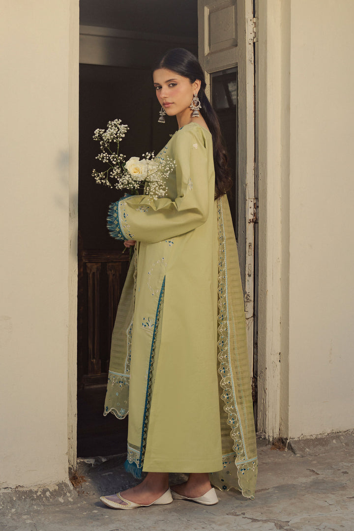 NOOR