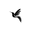 Garnetclothing
